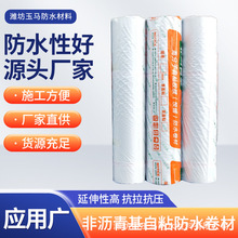 非沥青基自粘防水卷材HDPE工程隧道高分子预铺自粘胶膜防水材料
