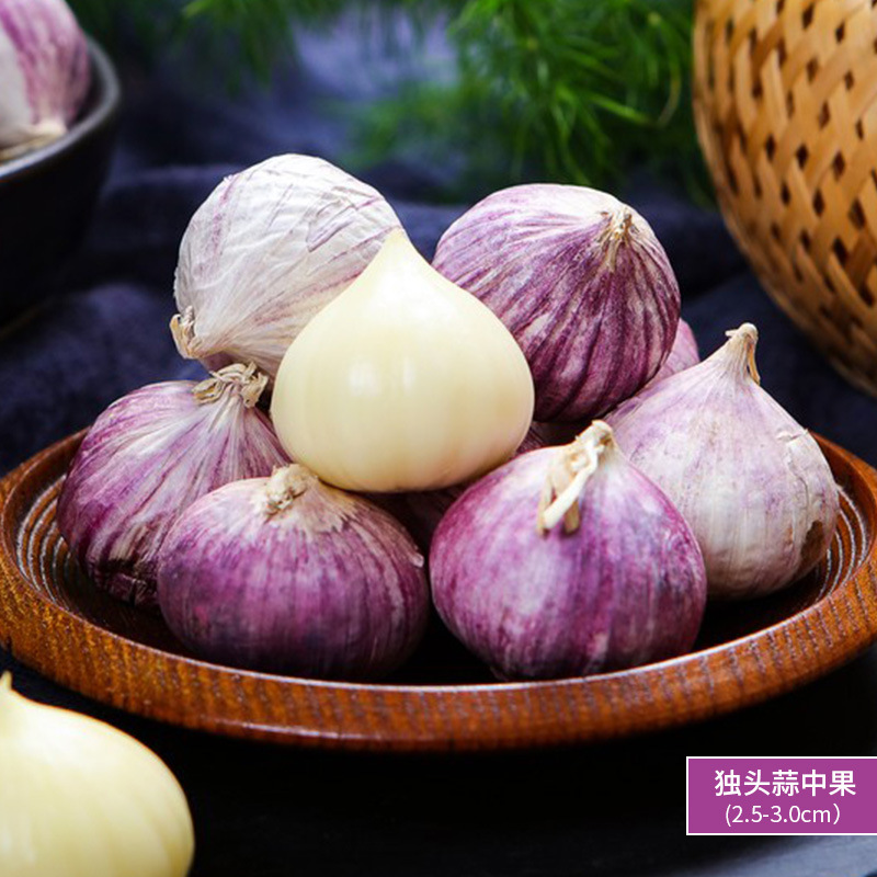 500g - 단일 마늘 - 중간 과일 (2.5-3.0cm)