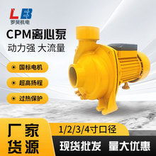 外贸新品CPM离心泵大口径离心增压泵厂家家用冷热水管道循环泵