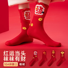 ������tɫ�m��Ůʿ�ﶬ�����޼���������Ͳ�m2026�R����R�LͲ�m