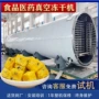 冷冻即冲商用真空干燥机
