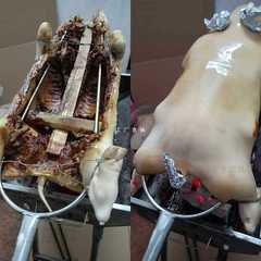 A5L加粗烤乳豬叉子不鏽鋼羊腿烤爐板鴨燒烤肉叉超長大號烤雞叉