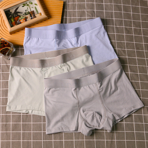 Multi-pack men's underwear, modal cotton pants, low-waist sexy boxer briefs for boys