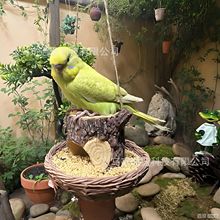 �羳���R�d�¿���Ȥ�䘶�B��ι�B��ͥԺ���@�����b�֬��ˇ�[��