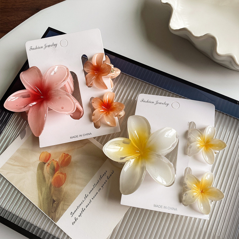 Cross-Border Summer Style Sweet Plumeria Hair Clip Set, Hairpin for the Back of the Head, Shark Clip, Acrylic Flower Hair Accessory Cross-Border Summer Style Sweet Plumeria Hair Clip Set, Hairpin for the Back of the Head, Shark Clip, Acrylic Flower Hair Accessory