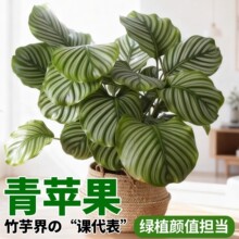 ���O���������Բʺ��҃ȴ��~�Gֲ�k�����^�~�W�tֲ���ļ�������B