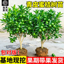 ������Ƥ�۽ۘ������ӹ������ͺ��ϱ����Nֲ����ͥԺˮ�����ӟo��