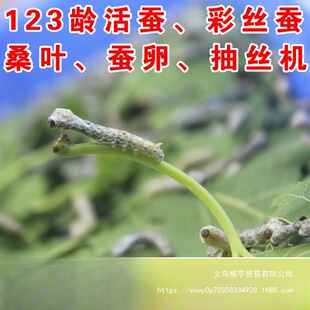 �Q����ɣ�~ι�Q���rɣ�~�Q��1234�g��Ȼ���߲ʌW���B�Q���b���Q�O