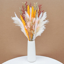 ����������͏d�[�O�滨�b[����Ȼ�L���p�ݸ߼��JȔ���˲ݸɻ�