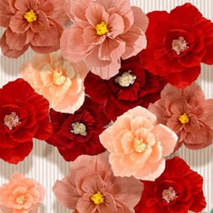 ���y����20/25/30cm���w���Y��Y���g�����Ɍ��WУ����b�