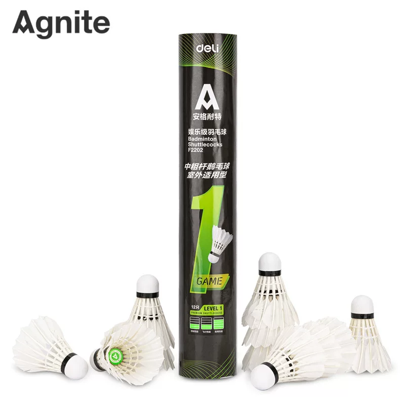 Anginet F2202S бадминтон (белый) (12/туба)
