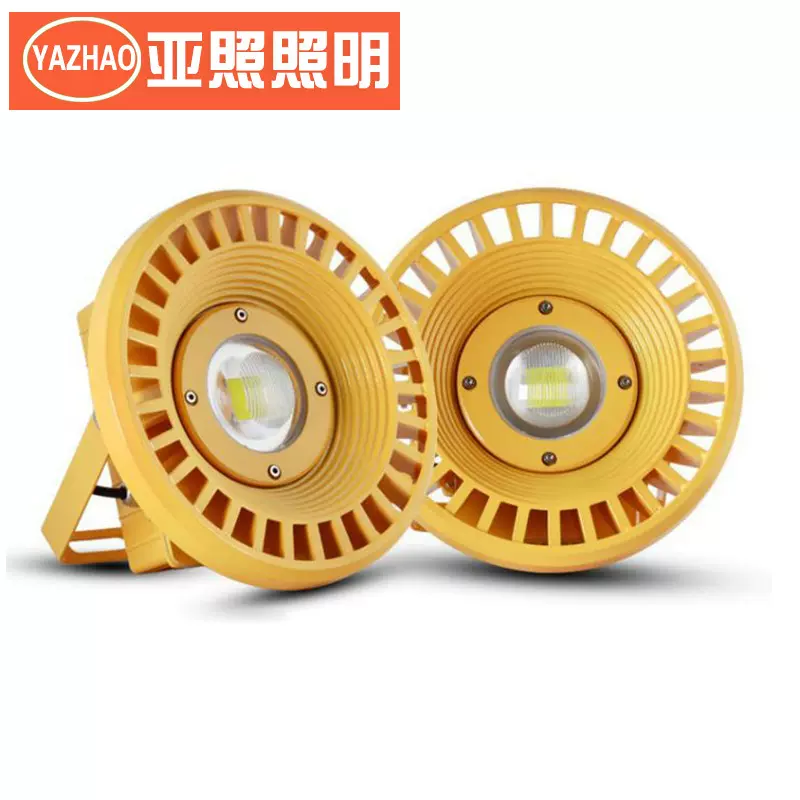 led防爆灯投光灯50W100W200W仓库加油站厂房矿用酒窖煤矿山洞隧道