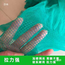 渔网抬网箱无结网防鸟网片冰雹网养鸡网围网养殖防逃加厚耐用中国