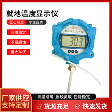 就地温度 数字数显温度计 高精度就地温度计防爆温度显示仪批发