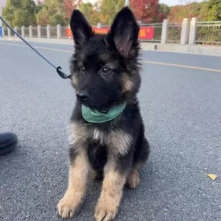 �pѪ�y������Ȯ��Ȯ���w����Ȯ��Ȯ����Ȯ������Ȯ���l�r��