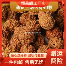 厂家包邮尼泊尔爆肉大金刚菩提子通货5五6六瓣男士手串原籽散