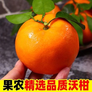 �̳��V���ָ̮������rˮ���ЙC���ھ��x�ָ̬Fժ���ږ|�ρ�Խ����