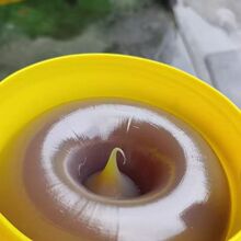 ����800G���Ϲ��b���I�S�� MP-3ͨ��䇻�֬ ɽ�|�|�I������֬�S