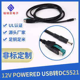 加工定制连接线束扫描枪端子线12VUSB转DC5521连接POWERED连接线