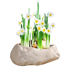 ˮ�ɻ��~�X��ˮ�໨��ˮ�B�ķ�ʯ�^�辰��ɏ˯ɏ���Ԅ����մɟo��