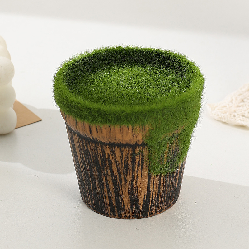 Set semplice di piante grasse verdi, decorazione versatile per la casa, adatto sia per uso interno che esterno_voghion.com