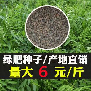 ë���ӷN�ӹ��@�G�ʷN���ͺ��ͺ������s���ϻ����Ӽ���Ұ�㶹����