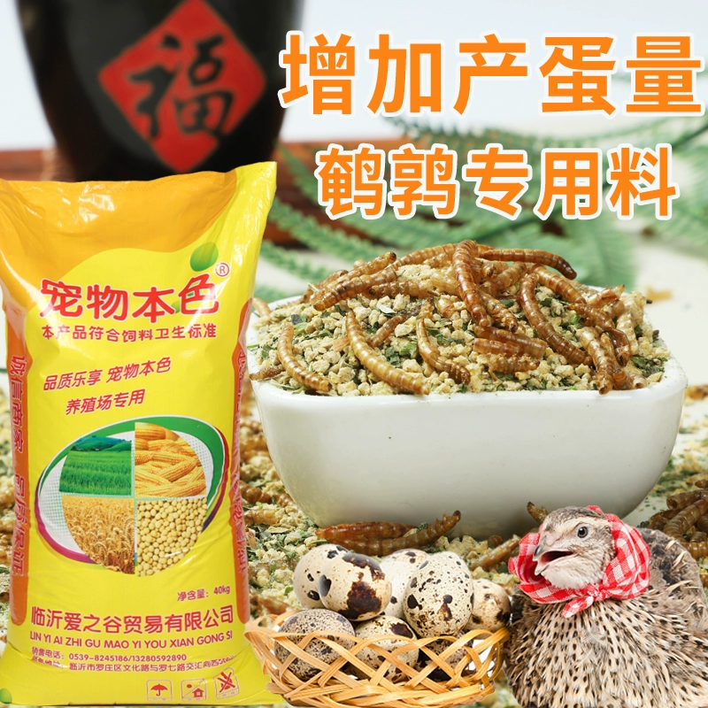 Рудинг куриный корм отверстие для откладки яиц