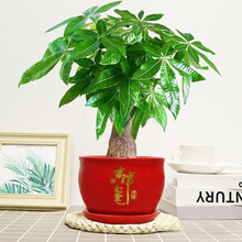 ��lؔ�����ԾGֲ�����҃ȿ͏d���B���ļ����������՚��Ϙ��ͺ�