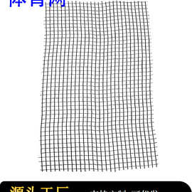 涤纶无结网汽车网家居用网布体育网安全网