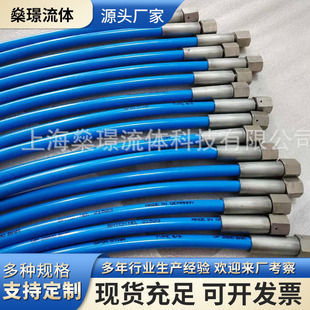 Hydrogen beam tube car oxygen high pressure hose stainless steel metal flexible connection pipe stainless steel woven PTFE metal