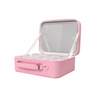 Cosmetic bag for traveling, handheld mirror with light, Amazon