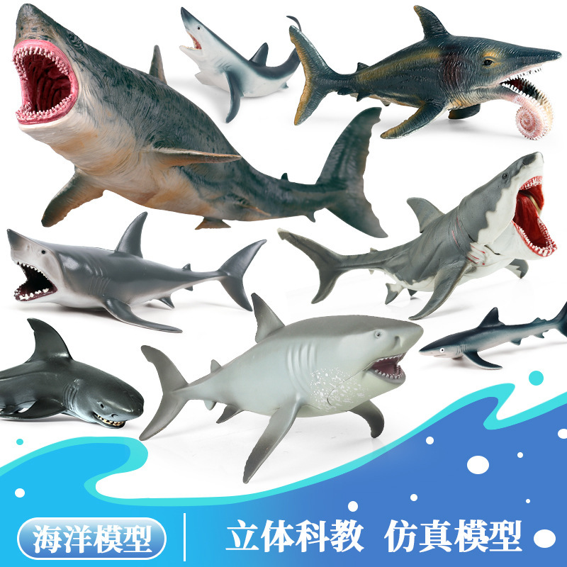 Cross-Border Simulated Marine Life Model Great White Shark Blue Whale Shark Whale Shark Megalodon Tiger Shark Children's Toys Cross-Border Simulated Marine Life Model Great White Shark Blue Whale Shark Whale Shark Megalodon Tiger Shark Children's Toys