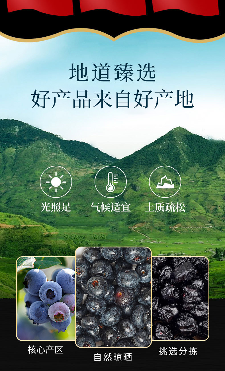 Dried Blueberries (Vaccinium spp.) — Whole Dried Berry Fruit, 500g Food-Grade Snack & Herbal Tea Ingredient key features