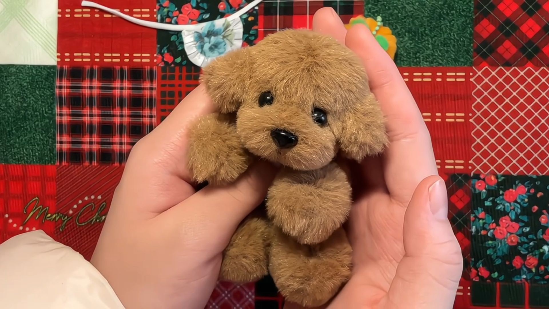 짙은 갈색 강아지