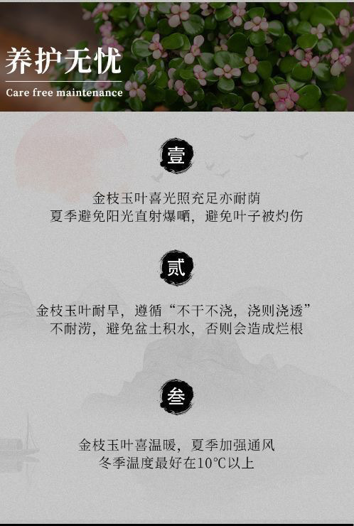 44a2fc37-5ca8-49dc-a35b-c89520eec37d.jpe