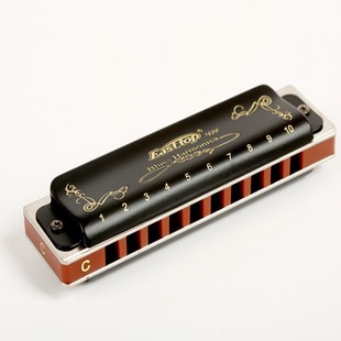 Oriental Ding easttop Blues Ten Hole Harmonica 10 Hole Beginner T008K