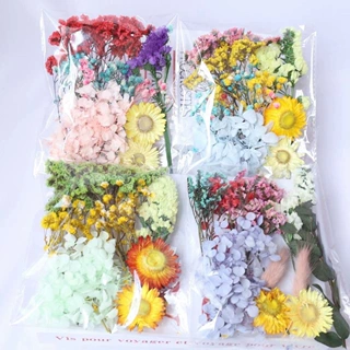 相框干花团扇包干天然永生花材料贺卡花手工真团扇滴胶花盒真花