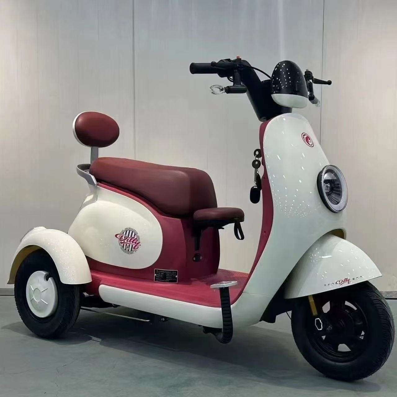 Triciclo Eléctrico Doméstico con Motor Diferencial para Uso Familiar y Transporte Diario