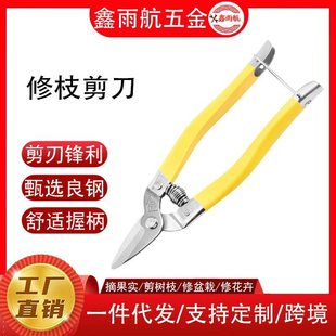 ���P��_�������߹���@ˇ��֦���ɹ������ټ�������֦ժ������