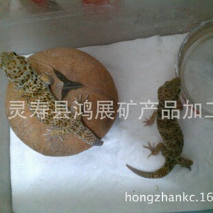 ���a�ӹ��������Ќ������}ɳ  �}�� ����ɫ���} 䁉|��