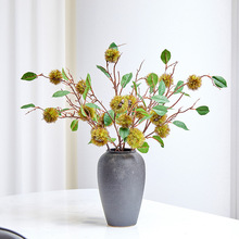 �L֦���滨���������Gֲ��֦ë���Ӵ���廨����ҰȤ�Ҿ��b�ˇ