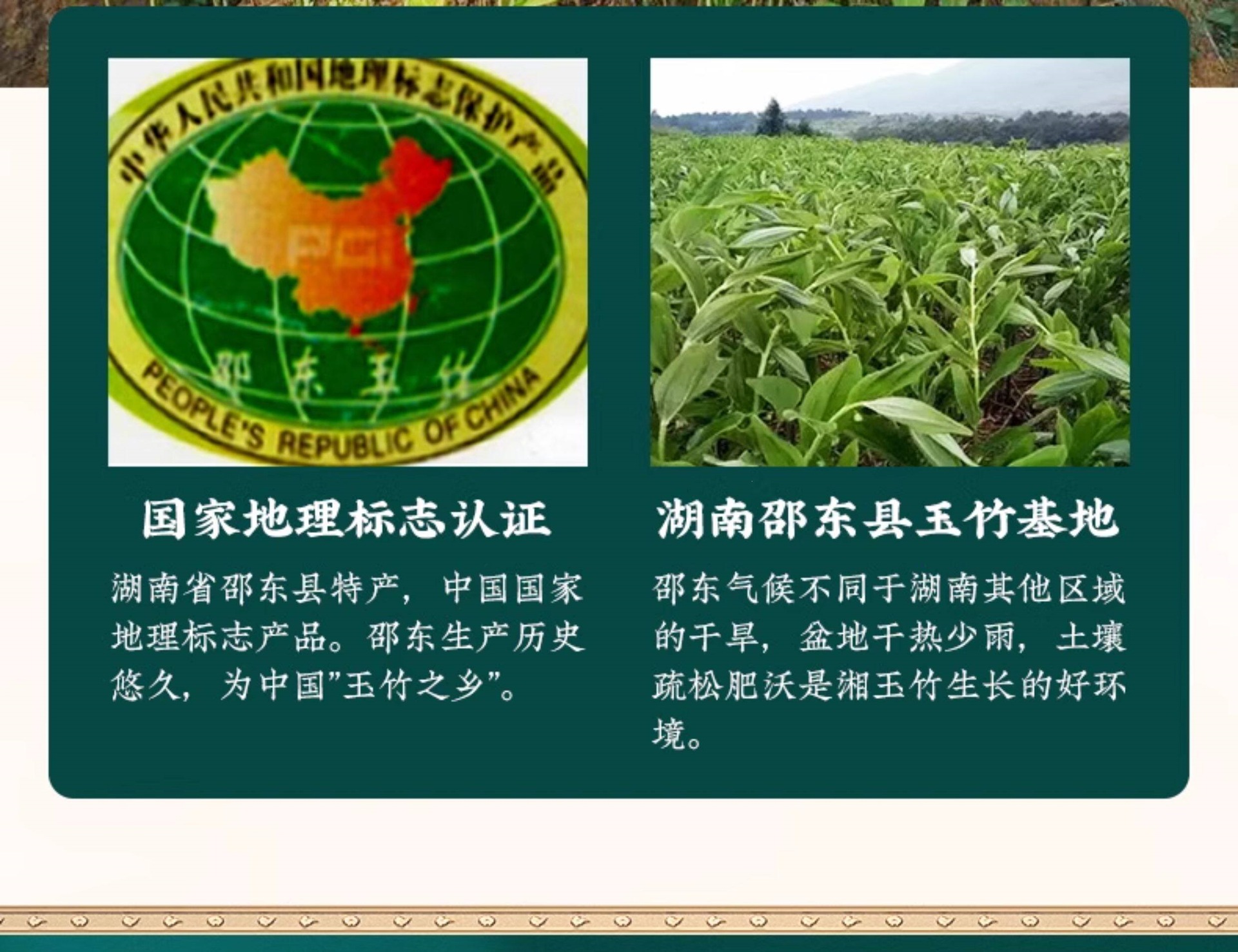 Yu Zhu Dried Polygonatum Slices 500g Hunan Fragrant Solomon Seal for Soup and Tea quality and texture