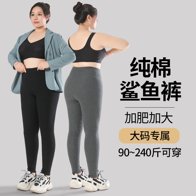 大码纯棉鲨鱼裤女外穿冬季加肥加大胖mm高腰加绒加厚不掉档保暖裤