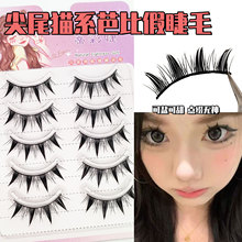 ��β؈ϵ�űȼٽ�ëһƬʽ�ڹ��������R�����Ѫ�Н���С��ħ��ë