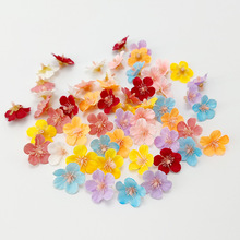 �ٻ����滨���m�M���ǻ����^ٻ� diy������Y������zӰ����