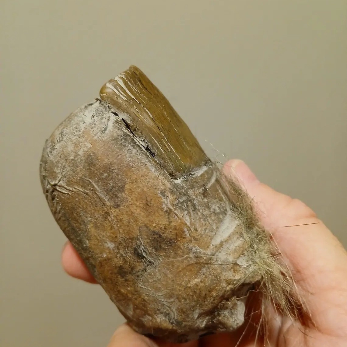 2025 Bigfoot explosivo transfronterizo de Amazon Toe Sasquatch fabricante de proceso de resina de dedo del pie al por mayor