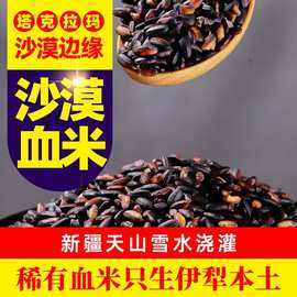 新疆察布查尔特产血米绿色种植新疆大米天山雪水灌溉 代发 代加工
