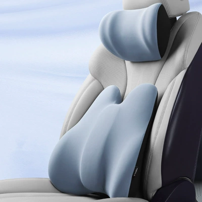 Headrest – driver lumbar pillow sedentary - suit-light-blue