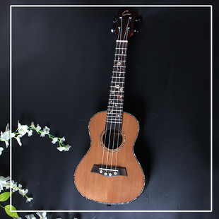 �S�ҹ���ǧ���ȿ�������μt��õ�������ļ���24/26�瘷�����l