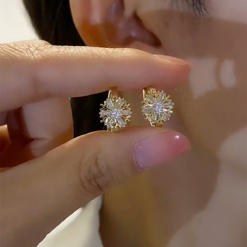 Fashion Autumn and Winter Zircon Snowflake Earrings for Women, Light Luxury High-End Small Earrings, Niche Design, Versatile Earrings Wholesale